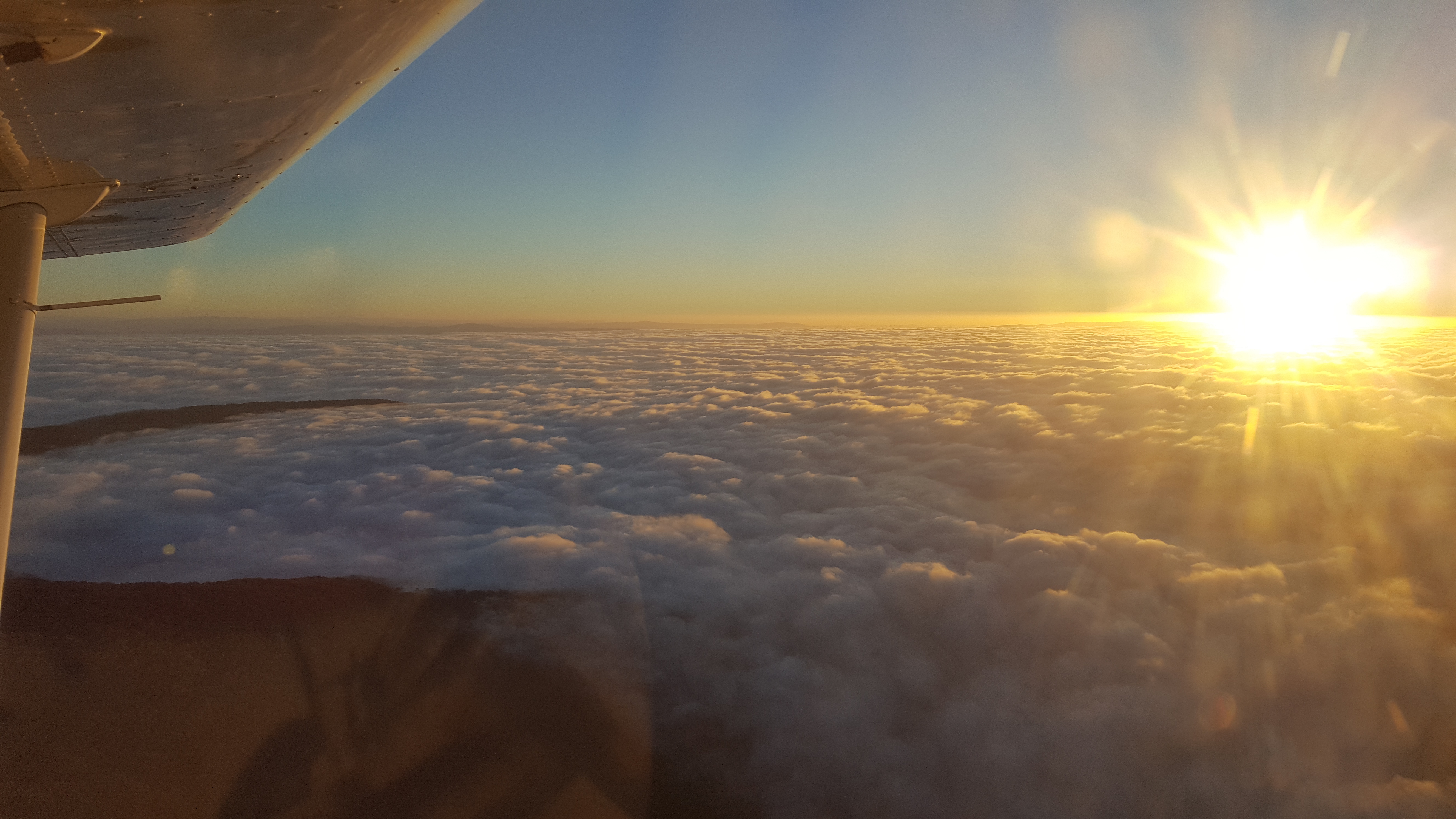 6DC9235A-75D1-49ED-AA39-E23D33711CDD.jpeg