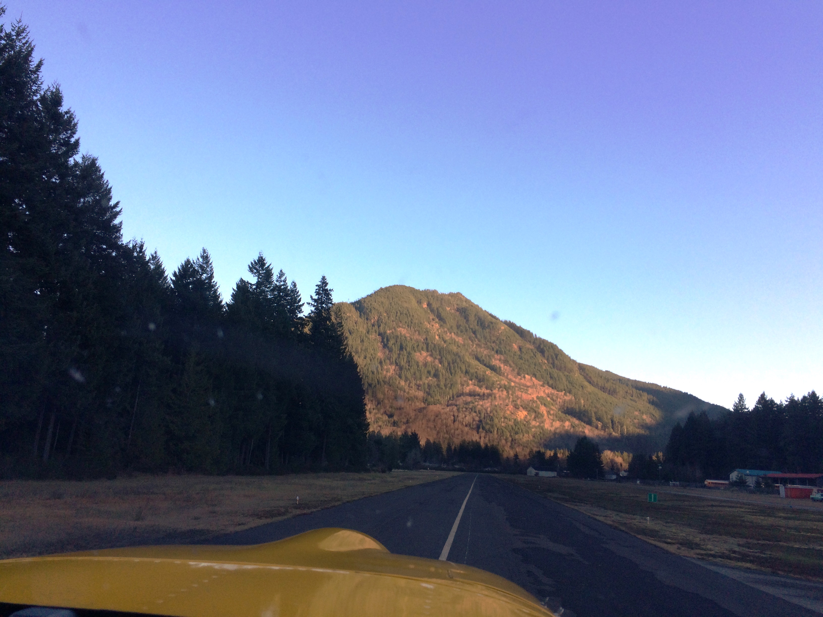 2020-12-02 14.45.41.jpg