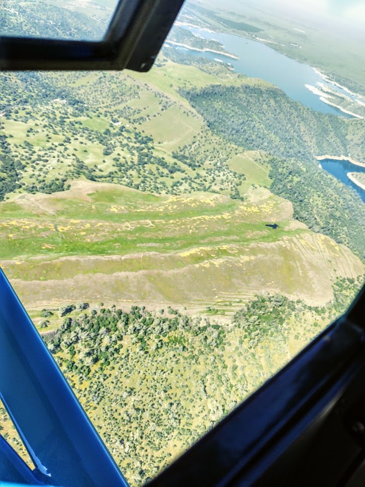 McKenzie Preserve 4-2020.jpg